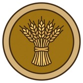 安提法忒斯